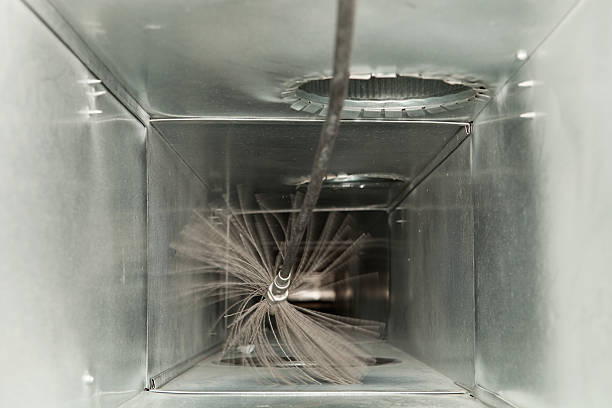 Best Professional Duct Cleaning Services  in Whitmire, SC