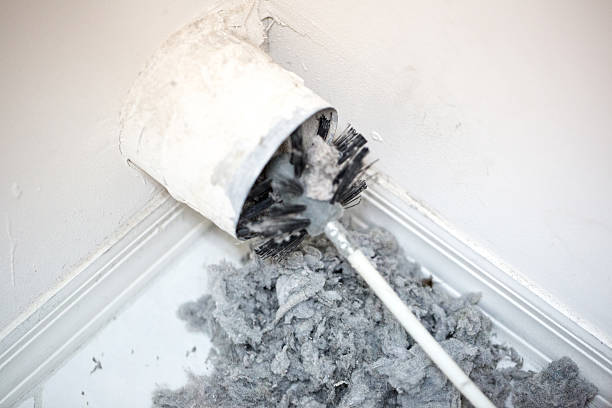 Best HVAC Air Duct Cleaning  in Whitmire, SC